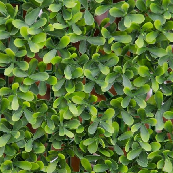 Τεχνητή φυλλωσιά Buxus 100x100