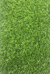Synthetic Grass VERDE 20mm