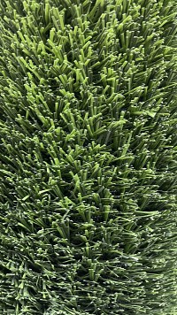 ΠΛΑΣΤΙΚΟΣ ΧΛΟΟΤΑΠΗΤΑΣ GREEN 1Χ2