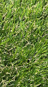 ΠΛΑΣΤΙΚΟΣ ΧΛΟΟΤΑΠΗΤΑΣ GREEN 1Χ2